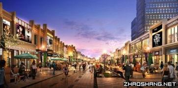 双流步行街爆料视频大全,街头风云，一网打尽  第1张